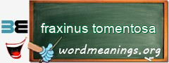 WordMeaning blackboard for fraxinus tomentosa